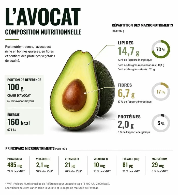 Infographie nutritionnelle montrant la teneur en protéines et les bienfaits de l'avocat