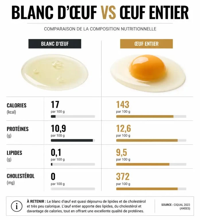Infographie comparative des apports nutritionnels : blanc d'œuf vs œuf entier pour la gestion des calories
